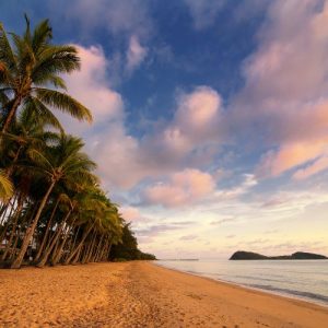 PalmCove & The beaches